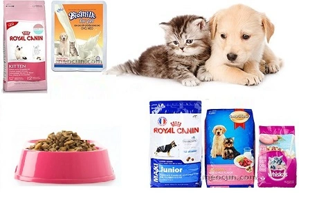 Tải Ngay 1000+ Hình Ảnh Thức Ăn Cho Chó Miễn Phí: Bộ Sưu Tập Png, Vector & Ảnh Chất Lượng Cao