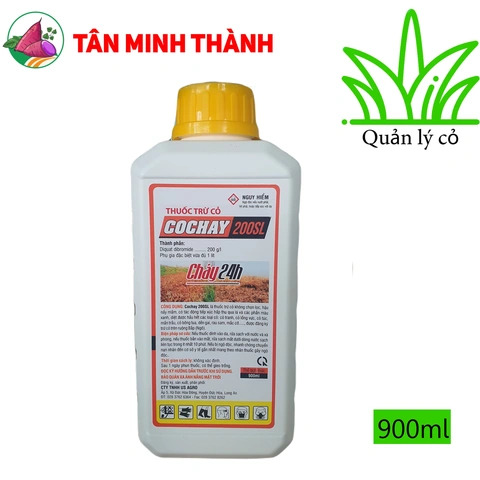 100+ Hình Ảnh Thuốc Cỏ Cháy 2026 – Bộ Sưu Tập Đầy Đủ, Chất Lượng Cao, Miễn Phí 100+ Hình Ảnh Thuốc Cỏ Cháy 2026 – Bộ Sưu Tập Đầy Đủ, Chất Lượng Cao, Miễn Phí