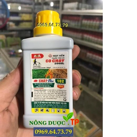 100+ Hình Ảnh Thuốc Cỏ Cháy 2026 – Bộ Sưu Tập Đầy Đủ, Chất Lượng Cao, Miễn Phí 100+ Hình Ảnh Thuốc Cỏ Cháy 2026 – Bộ Sưu Tập Đầy Đủ, Chất Lượng Cao, Miễn Phí