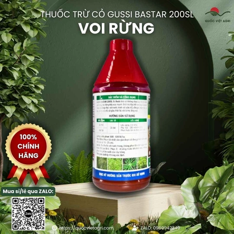 100+ Hình Ảnh Thuốc Cỏ Cháy 2026 – Bộ Sưu Tập Đầy Đủ, Chất Lượng Cao, Miễn Phí 100+ Hình Ảnh Thuốc Cỏ Cháy 2026 – Bộ Sưu Tập Đầy Đủ, Chất Lượng Cao, Miễn Phí