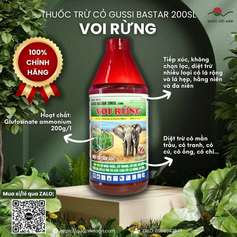 100+ Hình Ảnh Thuốc Cỏ Cháy 2026 – Bộ Sưu Tập Đầy Đủ, Chất Lượng Cao, Miễn Phí 100+ Hình Ảnh Thuốc Cỏ Cháy 2026 – Bộ Sưu Tập Đầy Đủ, Chất Lượng Cao, Miễn Phí
