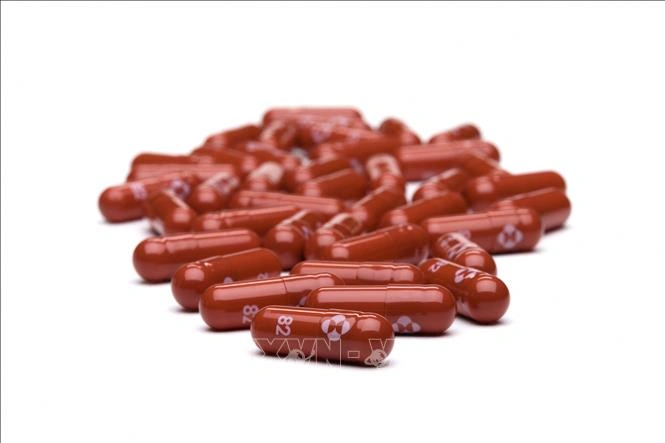 Xem Hình Ảnh Thuốc Nhộng Lao Đỏ (rifampicin) – Công Dụng, Tác Dụng Phụ & Lưu Ý Cho Người Bệnh Xem Hình Ảnh Thuốc Nhộng Lao Đỏ (rifampicin) – Công Dụng, Tác Dụng Phụ & Lưu Ý Cho Người Bệnh