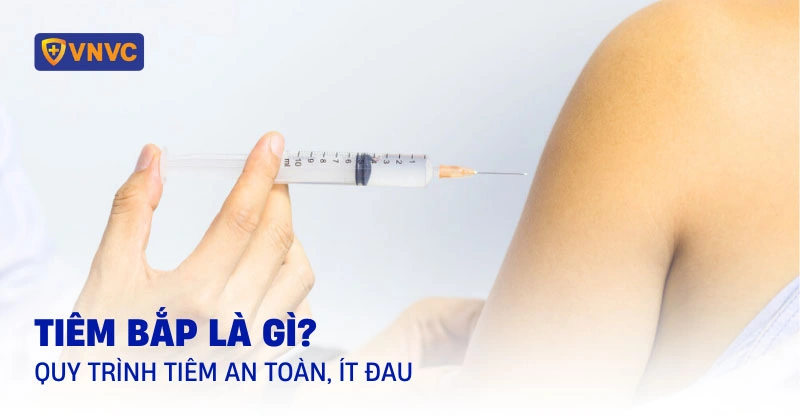 100+ Hình Ảnh Tiêm Bắp 2026 Đầy Đủ, Chất Lượng Cao, Dễ Dàng Tải Về 100+ Hình Ảnh Tiêm Bắp 2026 Đầy Đủ, Chất Lượng Cao, Dễ Dàng Tải Về