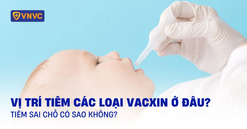 100+ Hình Ảnh Tiêm Bắp 2026 Đầy Đủ, Chất Lượng Cao, Dễ Dàng Tải Về 100+ Hình Ảnh Tiêm Bắp 2026 Đầy Đủ, Chất Lượng Cao, Dễ Dàng Tải Về