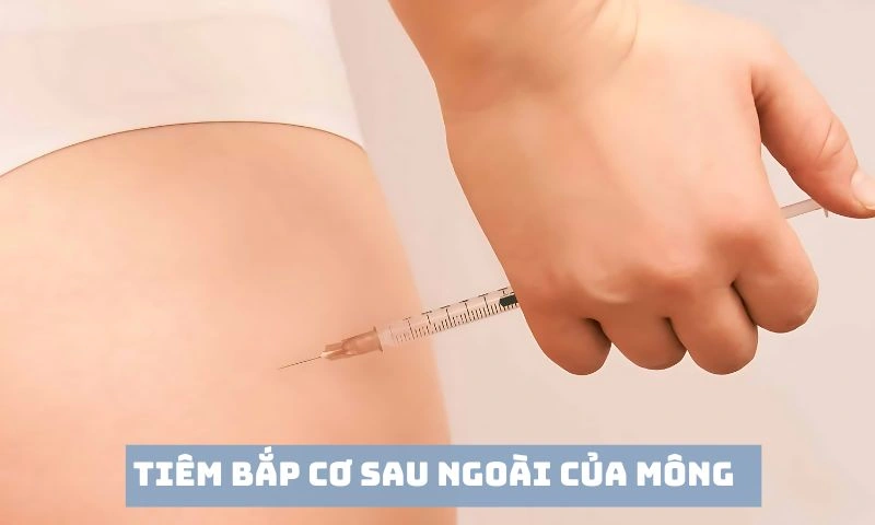 100+ Hình Ảnh Tiêm Bắp 2026 Đầy Đủ, Chất Lượng Cao, Dễ Dàng Tải Về 100+ Hình Ảnh Tiêm Bắp 2026 Đầy Đủ, Chất Lượng Cao, Dễ Dàng Tải Về
