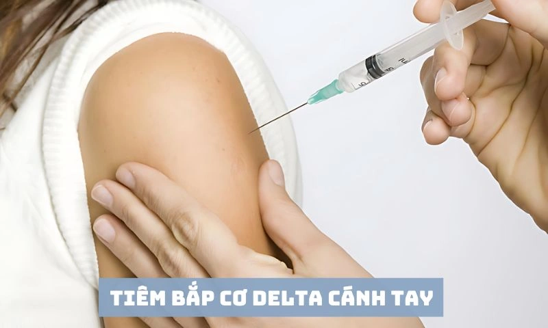 100+ Hình Ảnh Tiêm Bắp 2026 Đầy Đủ, Chất Lượng Cao, Dễ Dàng Tải Về 100+ Hình Ảnh Tiêm Bắp 2026 Đầy Đủ, Chất Lượng Cao, Dễ Dàng Tải Về