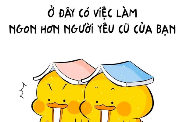 100+ Hình Ảnh Tìm Ứng Viên 2026 - Bộ Sưu Tập Chất Lượng Cao 100+ Hình Ảnh Tìm Ứng Viên 2026 - Bộ Sưu Tập Chất Lượng Cao
