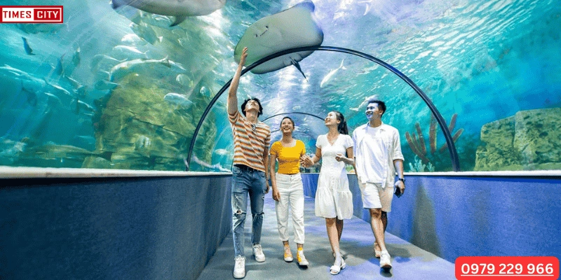 100+ Hình Ảnh Time City 2026 Đẹp Nhất – Bạn Đã Xem Chưa? 100+ Hình Ảnh Time City 2026 Đẹp Nhất – Bạn Đã Xem Chưa?