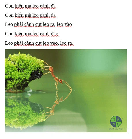 Hướng Dẫn Chèn Và Định Dạng Hình Ảnh Trong Tin Học Lớp 5: Bài Tập & Thực Hành Hướng Dẫn Chèn Và Định Dạng Hình Ảnh Trong Tin Học Lớp 5: Bài Tập & Thực Hành