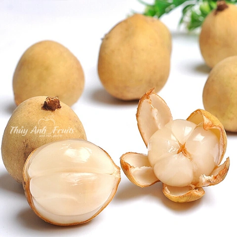 100+ Hình Ảnh Trái Bòn Bon 2026 Đầy Màu Sắc, 100+ Ảnh Trái Bòn Bon Siêu Đẹp Cho Wallpaper, Avatar, Bài Đăng Mạng Xã Hội