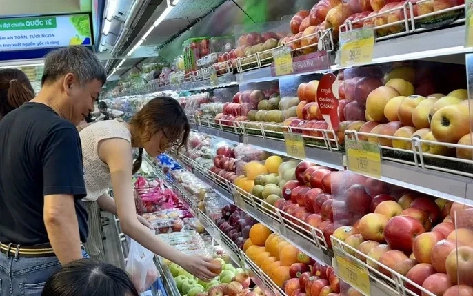 100+ Hình Ảnh Trái Nho Mỹ Đẹp 2026 – Bộ Sưu Tập Đầy Đủ Để Tải Ngay, Dùng Làm Wallpaper, Avatar, Bài Đăng Mạng Xã Hội