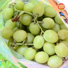 100+ Hình Ảnh Trái Nho Mỹ Đẹp 2026 – Bộ Sưu Tập Đầy Đủ Để Tải Ngay, Dùng Làm Wallpaper, Avatar, Bài Đăng Mạng Xã Hội