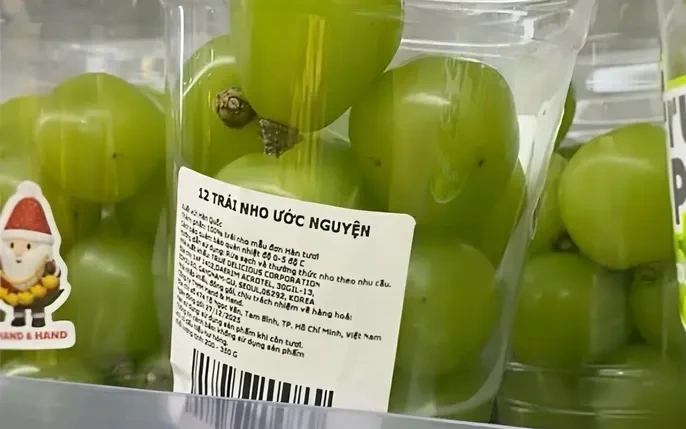 100+ Hình Ảnh Trái Nho Mỹ Đẹp 2026 – Bộ Sưu Tập Đầy Đủ Để Tải Ngay, Dùng Làm Wallpaper, Avatar, Bài Đăng Mạng Xã Hội