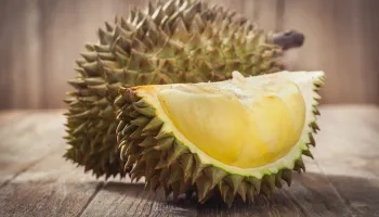 100+ Hình Ảnh Trái Nhót Đẹp Nhất 2026 – Bộ Sưu Tập Sáng Tạo 100+ Hình Ảnh Trái Nhót Đẹp Nhất 2026 – Bộ Sưu Tập Sáng Tạo