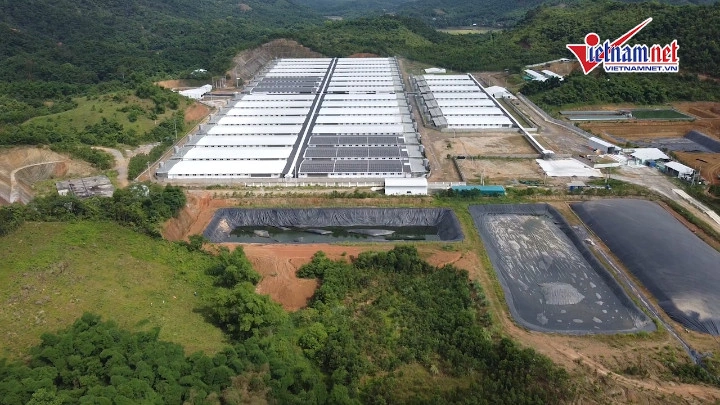 100+ Hình Ảnh Trang Trại Lợn 2026 - Bộ Sưu Tập Đầy Đủ, Sắc Nét, Miễn Phí