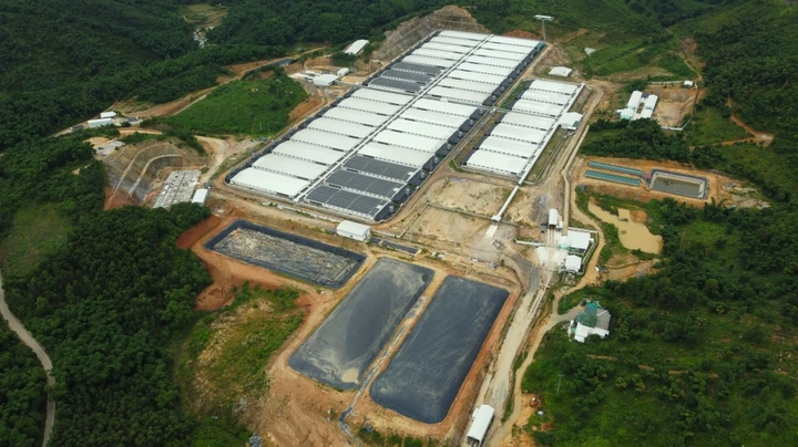 100+ Hình Ảnh Trang Trại Lợn 2026 - Bộ Sưu Tập Đầy Đủ, Sắc Nét, Miễn Phí