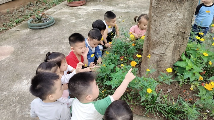 Hình Ảnh Trẻ Hoạt Động Ngoài Trời: Bộ Sưu Tập Đầy Đủ Cho Phụ Huynh & Giáo Viên Mầm Non Hình Ảnh Trẻ Hoạt Động Ngoài Trời: Bộ Sưu Tập Đầy Đủ Cho Phụ Huynh & Giáo Viên Mầm Non
