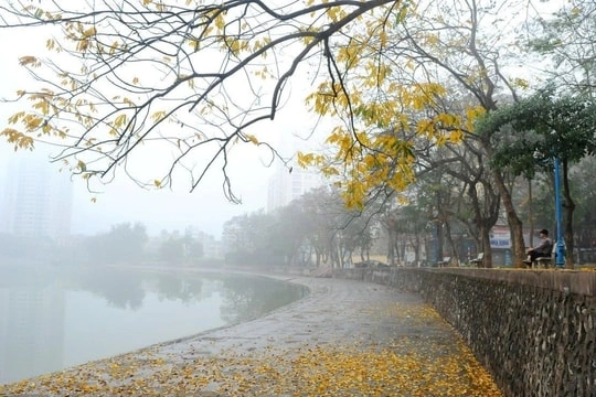 100+ Hình Ảnh Trời Mưa Phùn Đẹp Nhất 2026 – Bộ Sưu Tập Wallpaper Mưa Nhẹ Nhàng Cho Mọi Thiết Bị 100+ Hình Ảnh Trời Mưa Phùn Đẹp Nhất 2026 – Bộ Sưu Tập Wallpaper Mưa Nhẹ Nhàng Cho Mọi Thiết Bị