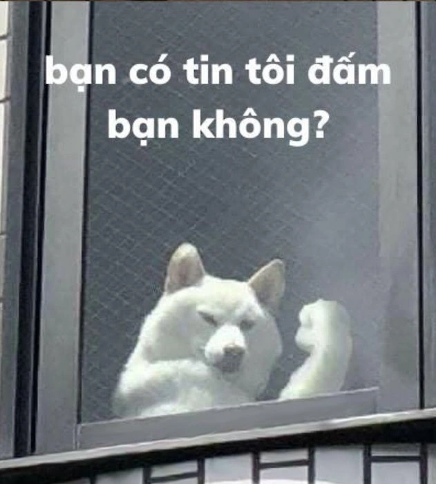 100+ Hình Ảnh Troll Fb Mới Nhất – Bạn Đã Sẵn Sàng Cười Vỡ Bụng? 100+ Hình Ảnh Troll Fb Mới Nhất – Bạn Đã Sẵn Sàng Cười Vỡ Bụng?