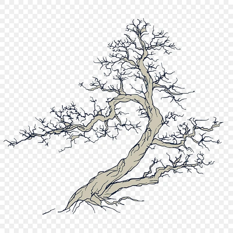 Hình Ảnh Vẽ Cây Cổ Thụ: Bộ Sưu Tập Ảnh Đẹp, Vector Miễn Phí Và Hướng Dẫn Vẽ Chi Tiết Từ A-z