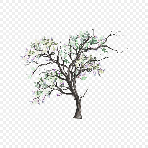 Hình Ảnh Vẽ Cây Cổ Thụ: Bộ Sưu Tập Ảnh Đẹp, Vector Miễn Phí Và Hướng Dẫn Vẽ Chi Tiết Từ A-z