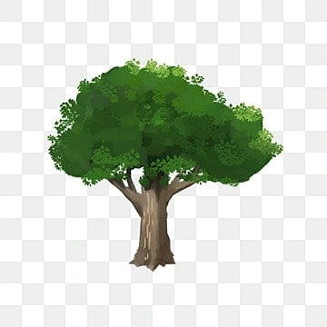 Hình Ảnh Vẽ Cây Cổ Thụ: Bộ Sưu Tập Ảnh Đẹp, Vector Miễn Phí Và Hướng Dẫn Vẽ Chi Tiết Từ A-z