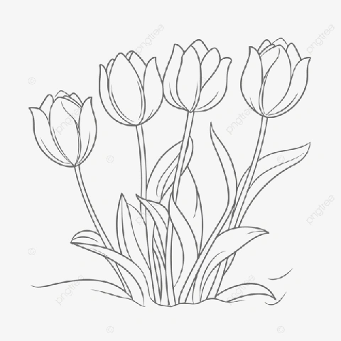 100+ Hình Ảnh Vẽ Hoa Tulip 2026 – Bộ Sưu Tập Wallpaper, Avatar, In Ấn Đẹp Nhất 100+ Hình Ảnh Vẽ Hoa Tulip 2026 – Bộ Sưu Tập Wallpaper, Avatar, In Ấn Đẹp Nhất