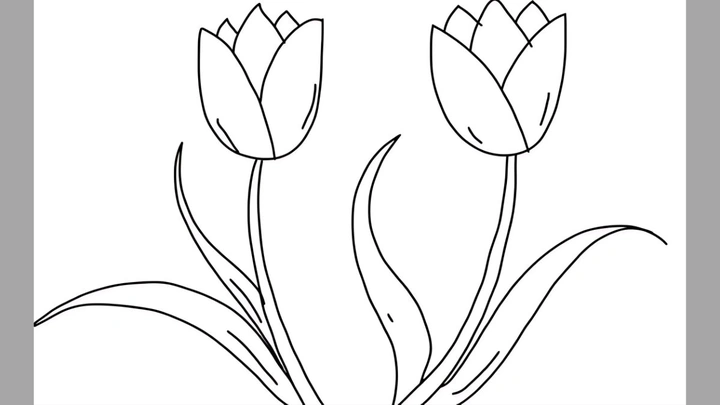 100+ Hình Ảnh Vẽ Hoa Tulip 2026 – Bộ Sưu Tập Wallpaper, Avatar, In Ấn Đẹp Nhất 100+ Hình Ảnh Vẽ Hoa Tulip 2026 – Bộ Sưu Tập Wallpaper, Avatar, In Ấn Đẹp Nhất