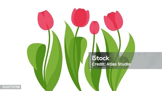 100+ Hình Ảnh Vẽ Hoa Tulip 2026 – Bộ Sưu Tập Wallpaper, Avatar, In Ấn Đẹp Nhất 100+ Hình Ảnh Vẽ Hoa Tulip 2026 – Bộ Sưu Tập Wallpaper, Avatar, In Ấn Đẹp Nhất