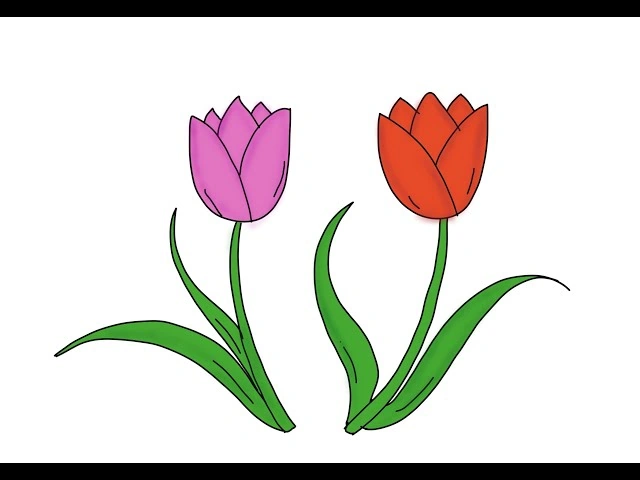 100+ Hình Ảnh Vẽ Hoa Tulip 2026 – Bộ Sưu Tập Wallpaper, Avatar, In Ấn Đẹp Nhất 100+ Hình Ảnh Vẽ Hoa Tulip 2026 – Bộ Sưu Tập Wallpaper, Avatar, In Ấn Đẹp Nhất