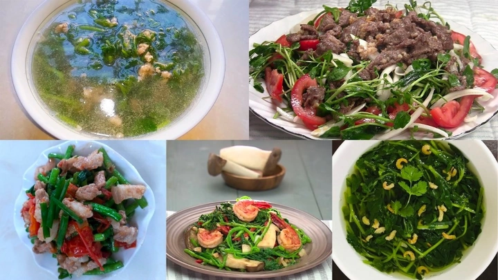 Bộ Sưu Tập Hình Ảnh Rau Cải Xoong (xà Lách Xoong): Đặc Điểm, Công Dụng Và Cách Phân Biệt Bộ Sưu Tập Hình Ảnh Rau Cải Xoong (xà Lách Xoong): Đặc Điểm, Công Dụng Và Cách Phân Biệt