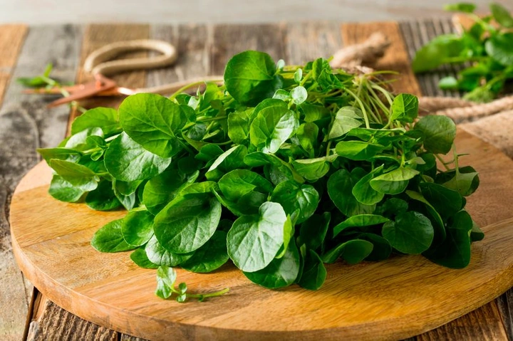 Bộ Sưu Tập Hình Ảnh Rau Cải Xoong (xà Lách Xoong): Đặc Điểm, Công Dụng Và Cách Phân Biệt Bộ Sưu Tập Hình Ảnh Rau Cải Xoong (xà Lách Xoong): Đặc Điểm, Công Dụng Và Cách Phân Biệt