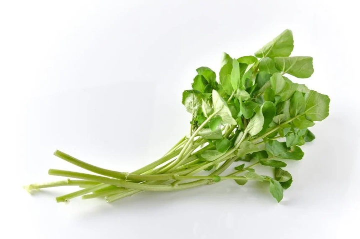 Bộ Sưu Tập Hình Ảnh Rau Cải Xoong (xà Lách Xoong): Đặc Điểm, Công Dụng Và Cách Phân Biệt Bộ Sưu Tập Hình Ảnh Rau Cải Xoong (xà Lách Xoong): Đặc Điểm, Công Dụng Và Cách Phân Biệt