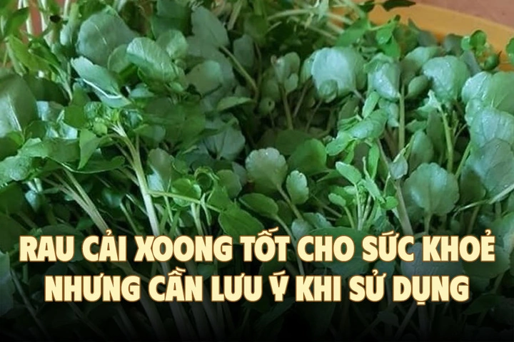 Bộ Sưu Tập Hình Ảnh Rau Cải Xoong (xà Lách Xoong): Đặc Điểm, Công Dụng Và Cách Phân Biệt Bộ Sưu Tập Hình Ảnh Rau Cải Xoong (xà Lách Xoong): Đặc Điểm, Công Dụng Và Cách Phân Biệt