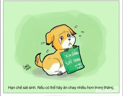 Tổng Hợp Hình Ảnh Chế Tháng Cô Hồn Hài Hước, Meme Bá Đạo & Kiêng Kỵ Cần Biết Cho Giới Trẻ 2026 Tổng Hợp Hình Ảnh Chế Tháng Cô Hồn Hài Hước, Meme Bá Đạo & Kiêng Kỵ Cần Biết Cho Giới Trẻ 2026