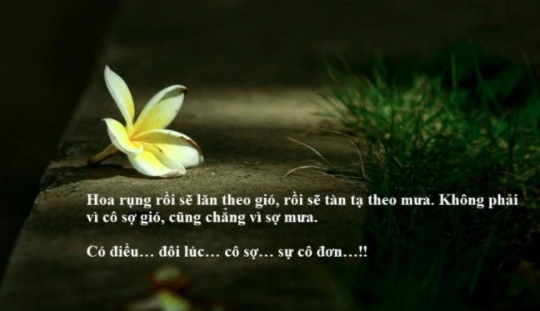 Tổng Hợp Hình Ảnh Chế Tháng Cô Hồn Hài Hước, Meme Bá Đạo & Kiêng Kỵ Cần Biết Cho Giới Trẻ 2026 Tổng Hợp Hình Ảnh Chế Tháng Cô Hồn Hài Hước, Meme Bá Đạo & Kiêng Kỵ Cần Biết Cho Giới Trẻ 2026