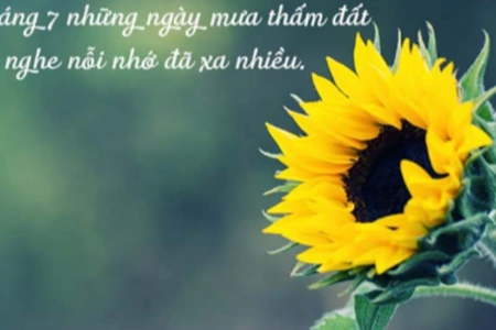 Tổng Hợp Hình Ảnh Chế Tháng Cô Hồn Hài Hước, Meme Bá Đạo & Kiêng Kỵ Cần Biết Cho Giới Trẻ 2026 Tổng Hợp Hình Ảnh Chế Tháng Cô Hồn Hài Hước, Meme Bá Đạo & Kiêng Kỵ Cần Biết Cho Giới Trẻ 2026