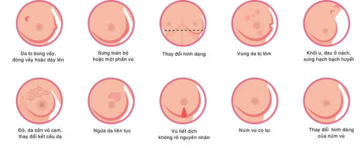 Hiểu Rõ Hình Ảnh Vú Phụ Nữ: Các Loại Hình Dạng, Kích Cỡ, Núm Vú Và Dấu Hiệu Bất Thường