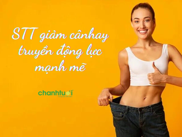 Cười Vỡ Bụng Với 100+ Hình Ảnh Vui Về Giảm Cân Hài Hước Nhất - Động Lực Giảm Cân Cho Hội "ngày Mai Bắt Đầu" Cười Vỡ Bụng Với 100+ Hình Ảnh Vui Về Giảm Cân Hài Hước Nhất - Động Lực Giảm Cân Cho Hội "ngày Mai Bắt Đầu"