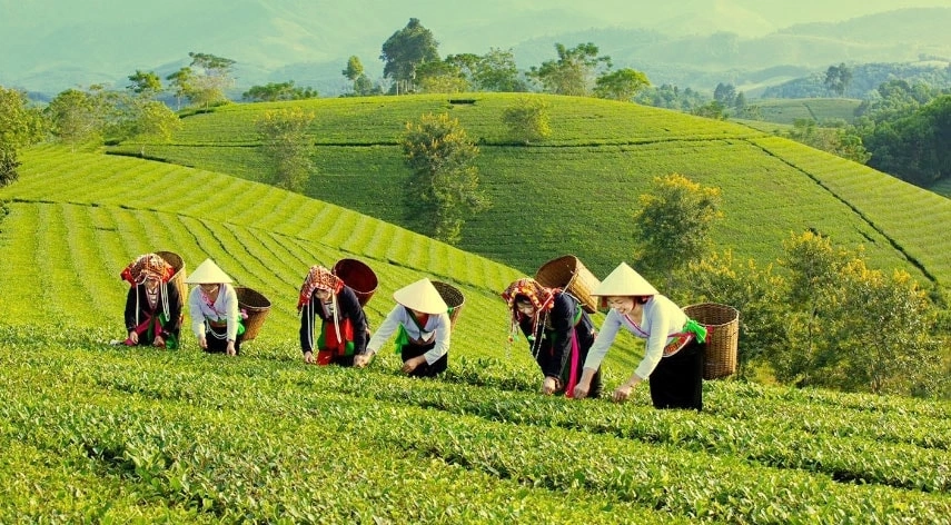 100+ Hình Ảnh Vươn Lên Đầy Cảm Hứng 2026 - Bạn Đã Xem Chưa? 100+ Hình Ảnh Vươn Lên Đầy Cảm Hứng 2026 - Bạn Đã Xem Chưa?