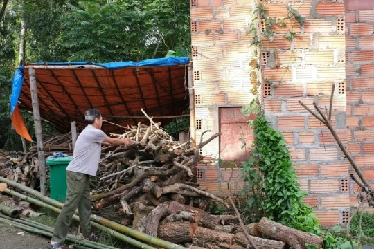 100+ Hình Ảnh Vươn Lên Đầy Cảm Hứng 2026 - Bạn Đã Xem Chưa? 100+ Hình Ảnh Vươn Lên Đầy Cảm Hứng 2026 - Bạn Đã Xem Chưa?