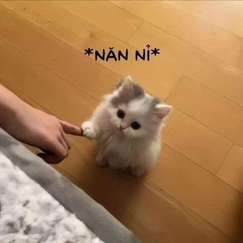 Tải Ngay Bộ Sưu Tập Hình Ảnh Xin Lỗi Bạn Gái – Gợi Ý Ngọt Ngào Cho Chàng Trai