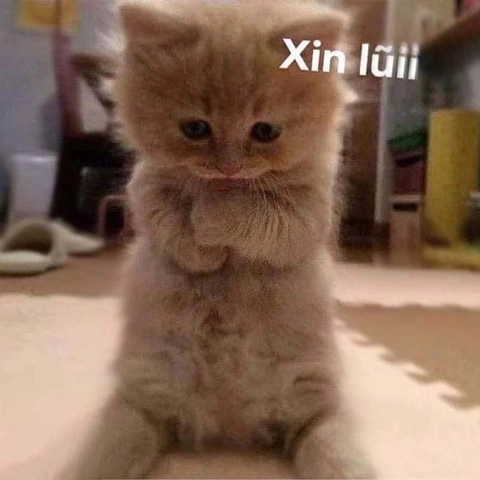 Tải Ngay Bộ Sưu Tập Hình Ảnh Xin Lỗi Bạn Gái – Gợi Ý Ngọt Ngào Cho Chàng Trai