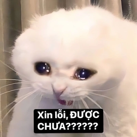 Tải Ngay Bộ Sưu Tập Hình Ảnh Xin Lỗi Bạn Gái – Gợi Ý Ngọt Ngào Cho Chàng Trai