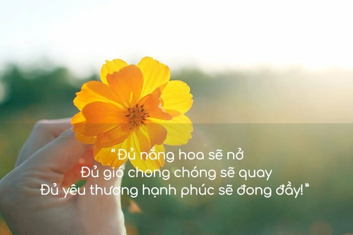 Khám Phá Bộ Sưu Tập Hình Ảnh Ý Nghĩa Tình Yêu – Cẩm Nang Dành Cho Các Cặp Đôi Yêu Nghệ Thuật