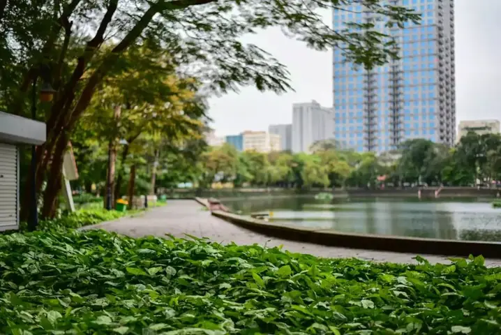 Hồ Thành Công Rộng Bao Nhiêu? Diện Tích, Vòng Quanh Và Những Thông Tin Cần Biết Hồ Thành Công Rộng Bao Nhiêu? Diện Tích, Vòng Quanh Và Những Thông Tin Cần Biết