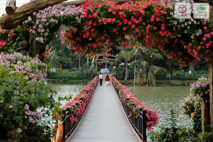 Khám Phá Công Viên Hồ Thiên Nga Ecopark Hưng Yên: Những Hoạt Động Không Thể Bỏ Lỡ