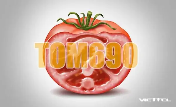 Hướng Dẫn Cách Hủy Gói Cước Tomato Viettel Nhanh Chóng Và Đơn Giản Nhất