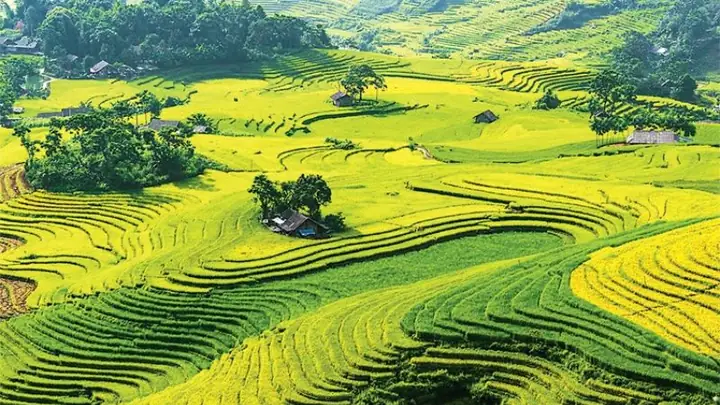 Tổng Quan Về Huyện Bát Xát (lào Cai): Địa Giới Hành Chính, Tiềm Năng Và Thông Tin Mới Nhất Tổng Quan Về Huyện Bát Xát (lào Cai): Địa Giới Hành Chính, Tiềm Năng Và Thông Tin Mới Nhất