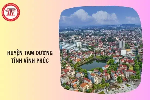 Thông Tin Tổng Quan Về Huyện Tam Dương Tỉnh Vĩnh Phúc: Địa Danh Và Biến Động Hành Chính Thông Tin Tổng Quan Về Huyện Tam Dương Tỉnh Vĩnh Phúc: Địa Danh Và Biến Động Hành Chính